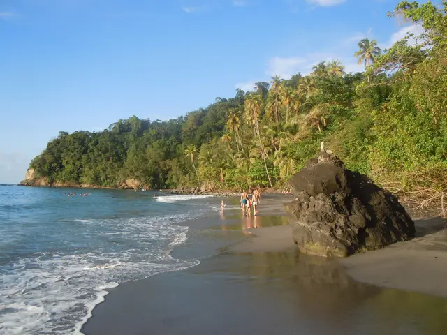 Le sable noir de l'anse Couleuvre et la forêt