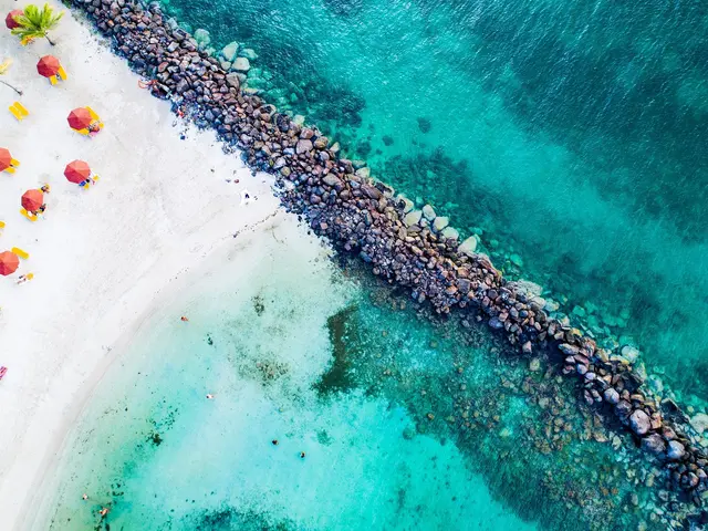 Mitan 40 Que faire autour de Fort-de-France : plages, randonnées, rhum ...