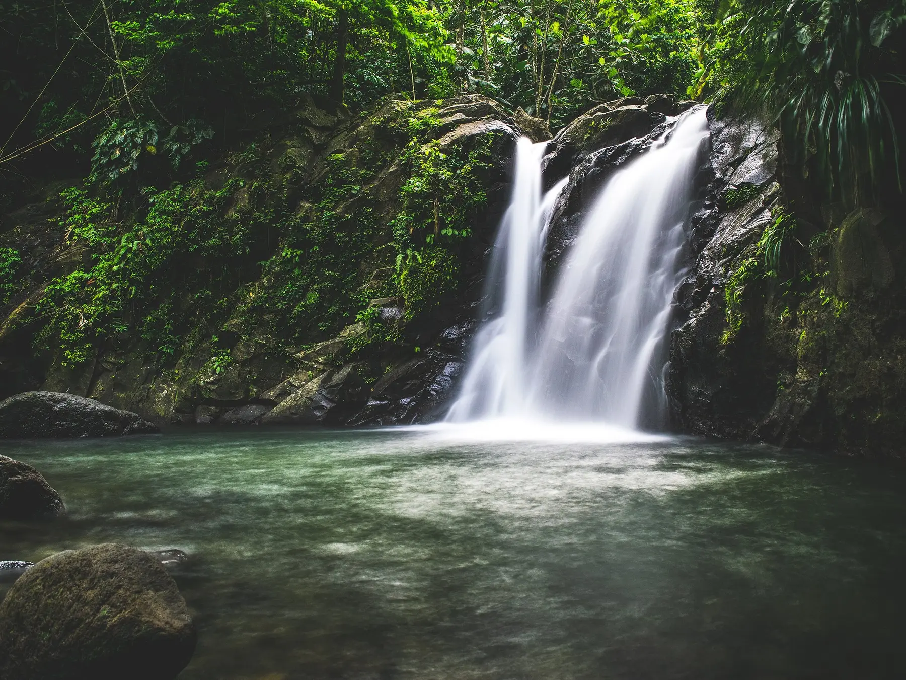 La cascade de Didier dans la forêt tropicale