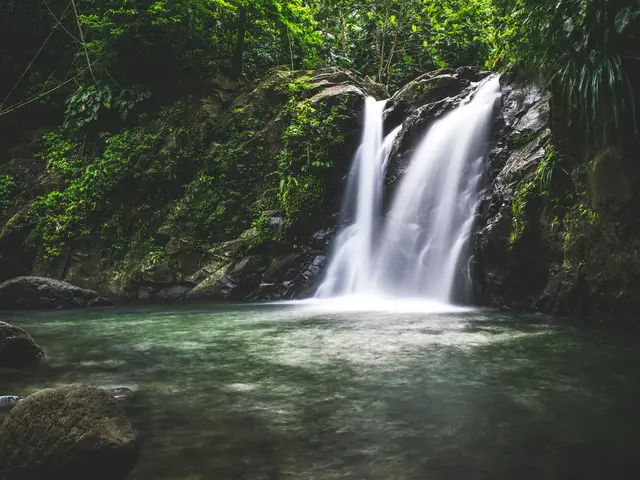La cascade de Didier dans la forêt tropicale