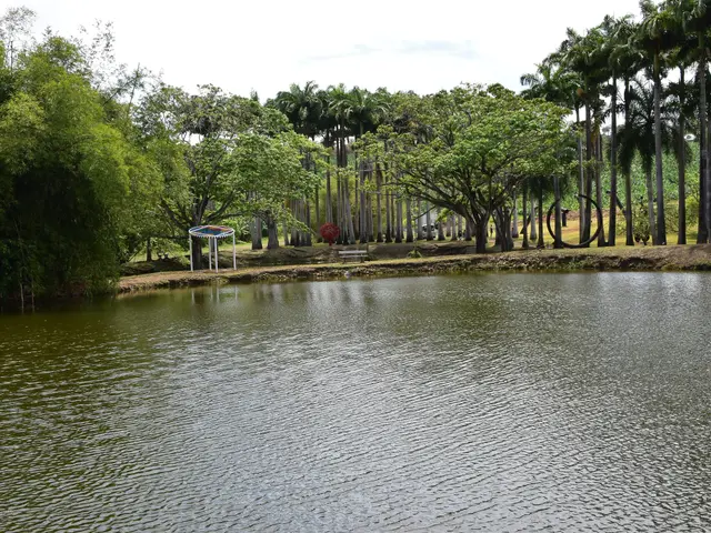 Le bassin et le parc de l'habitation Clément
