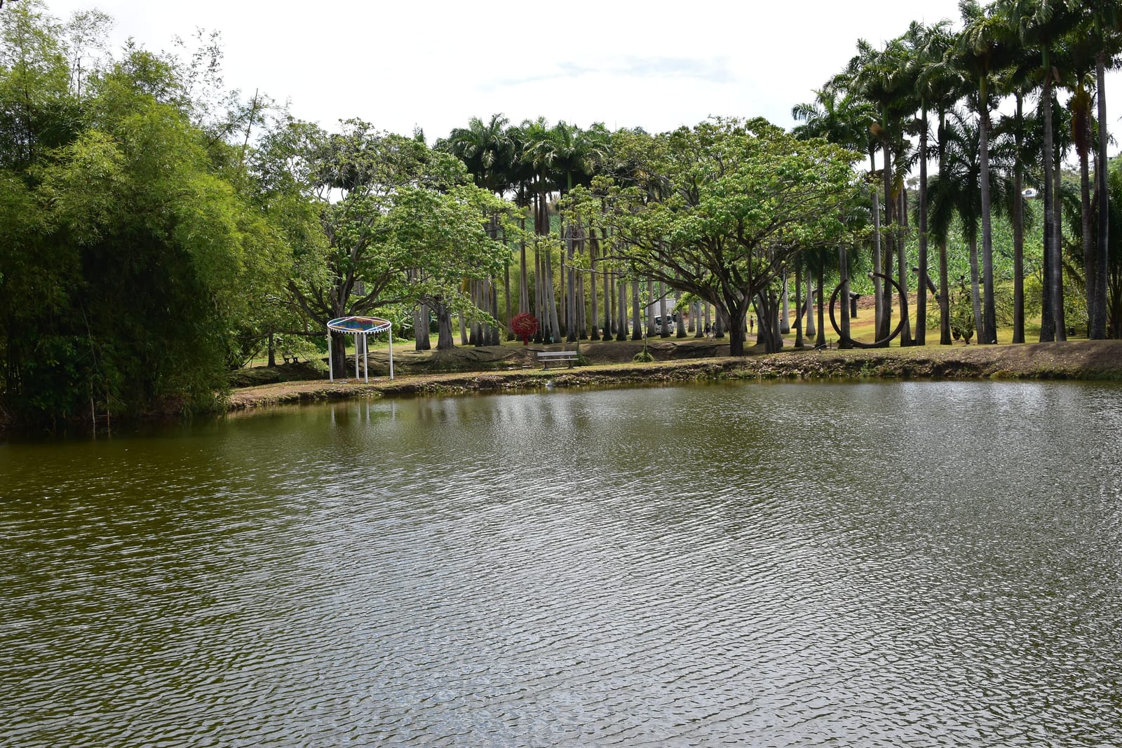 Le bassin et le parc de l'habitation Clément