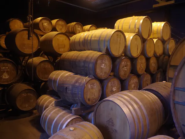 Les tonneaux du chai de la distillerie Neisson