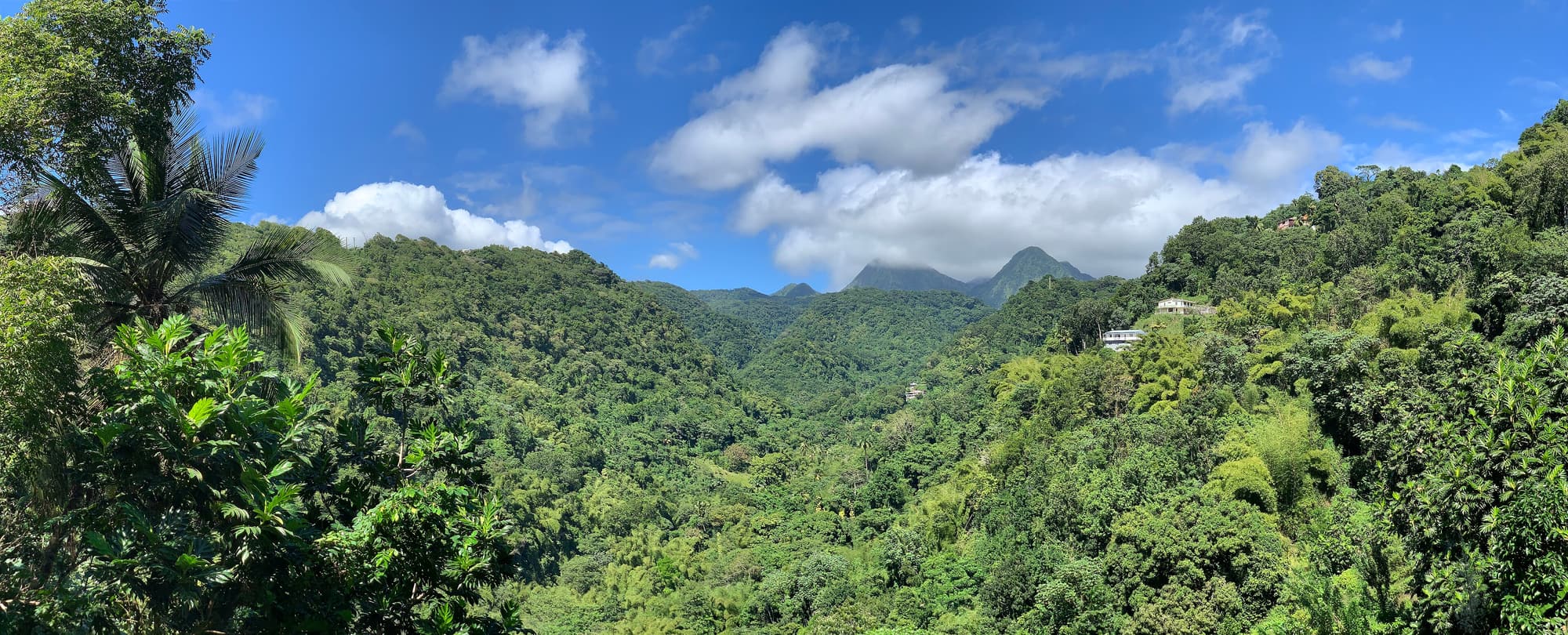 Les pitons du Carbet vus de la route de Didier, au-dessus de la forêt