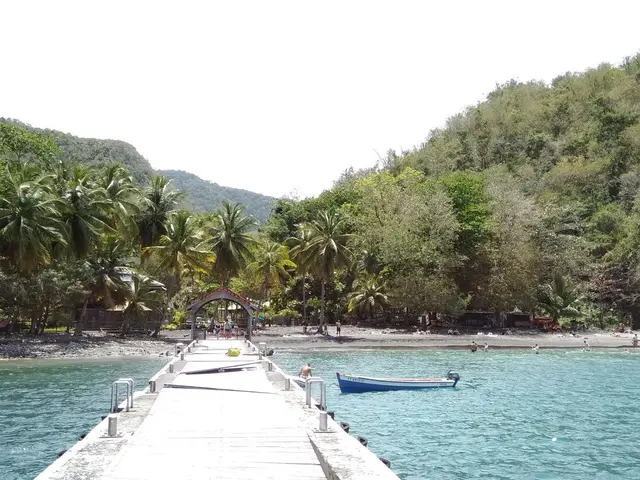 Anse Noire seen from the jetty, coconut palms at the water's edge