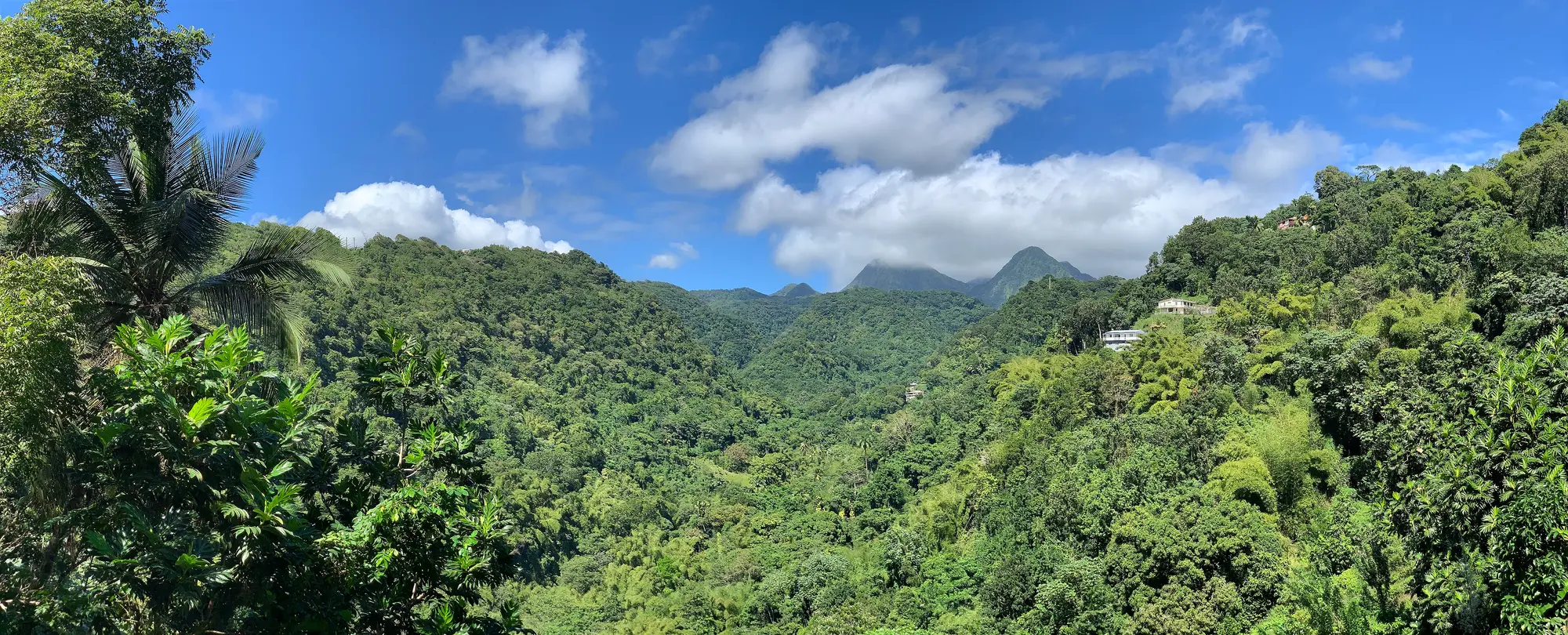 The Pitons du Carbet seen from the Didier road, above the forest