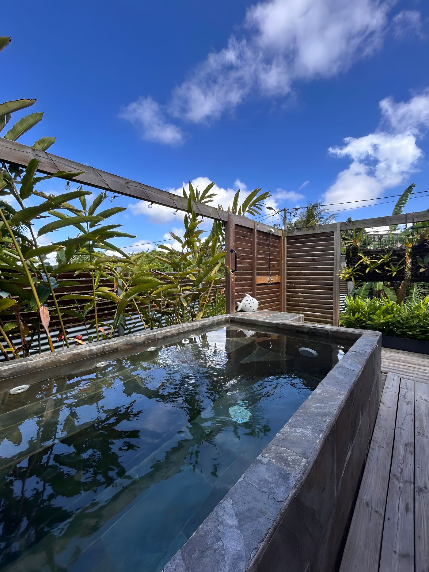 The plunge pool in the middle of the afternoon, the garden and blue sky