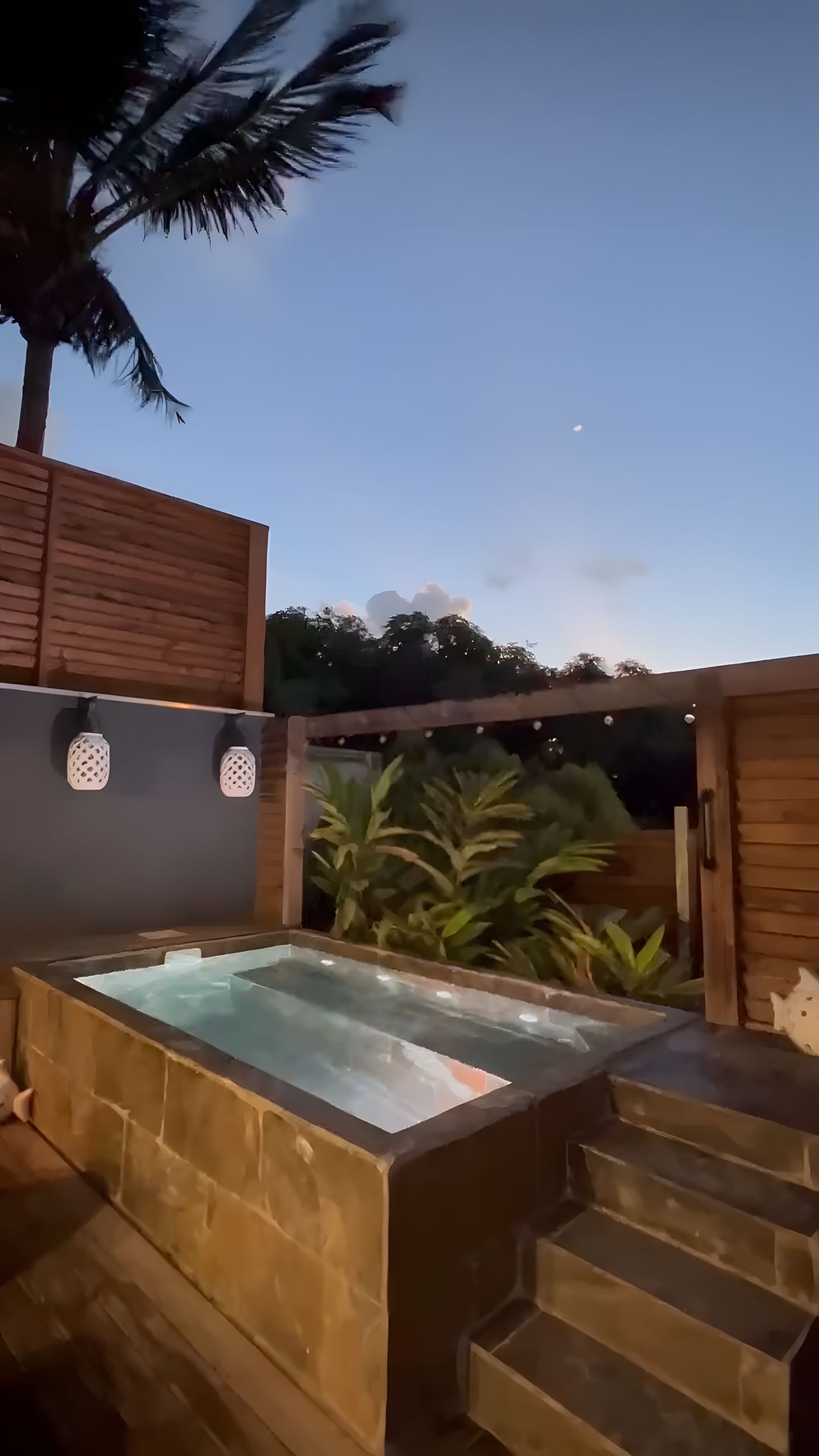 The plunge pool at sunset, under the palm tree